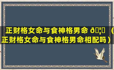 正财格女命与食神格男命 🦍 （正财格女命与食神格男命相配吗）